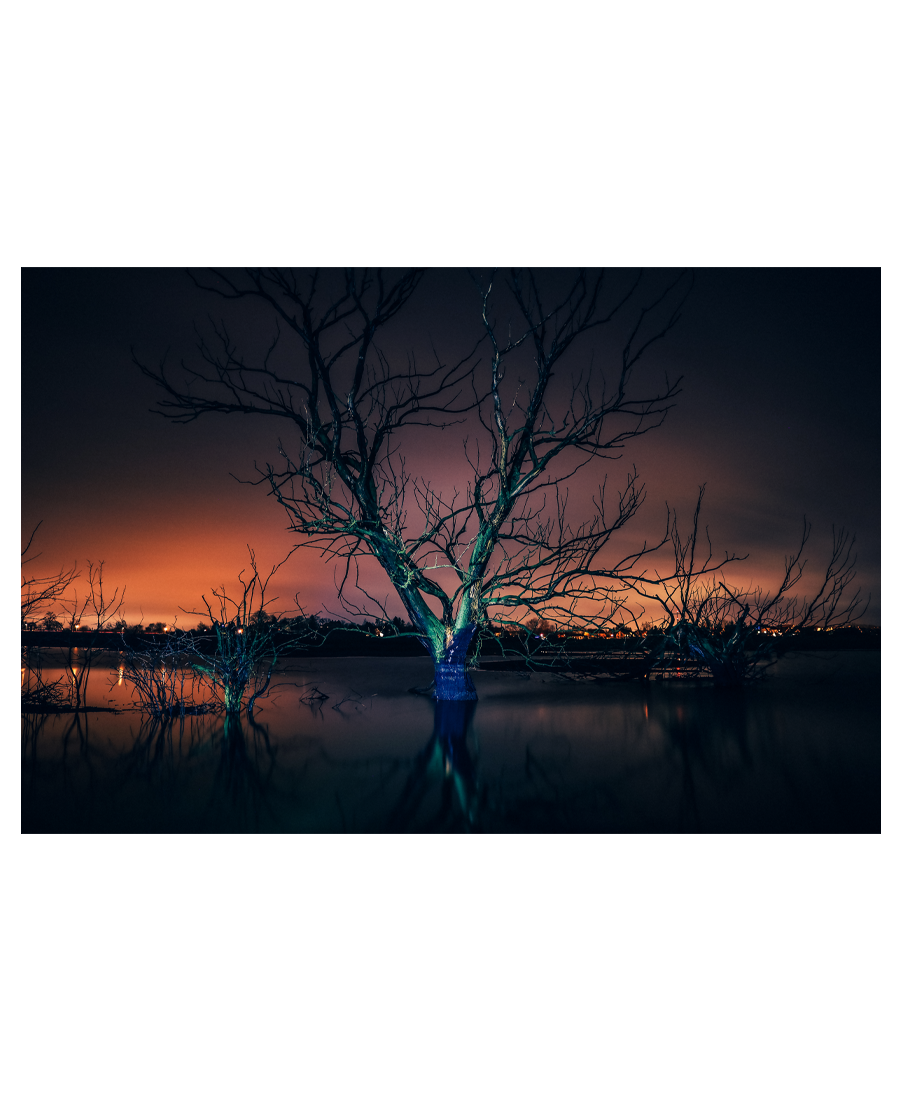 Marc Opre | Geisterbaum