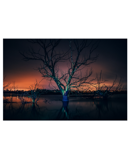 Marc Opre | Geisterbaum